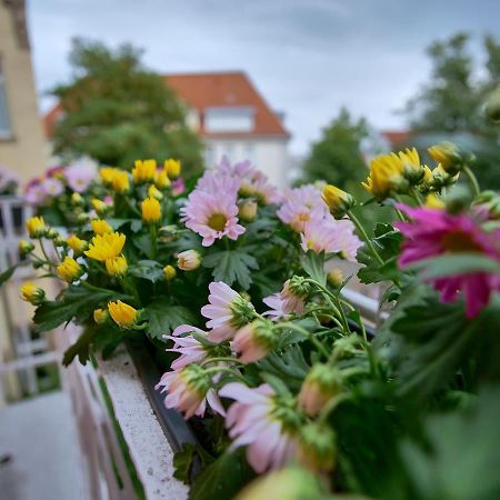 Appartement Otto I - Erfurt Zentrum エクステリア 写真